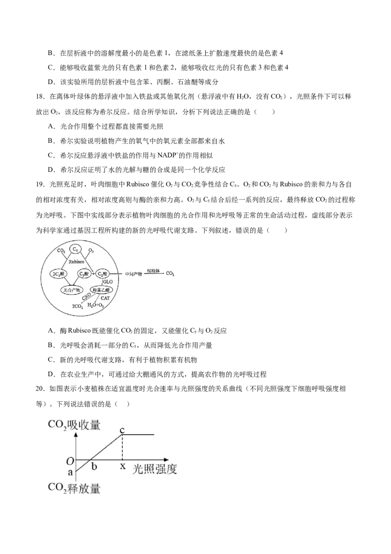 单元检测卷03细胞的能量供应和利用（原卷版）_新高考复习资料_2025年新高考资料_2025年高考生物一轮复习考点通关卷（新高考通用）