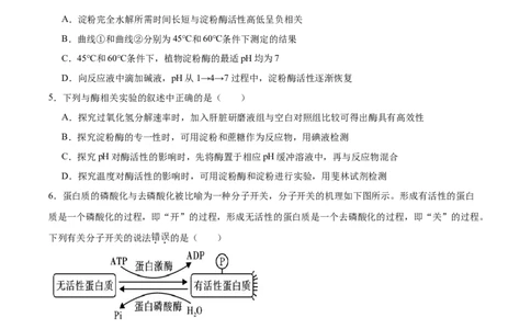 单元检测卷03细胞的能量供应和利用（原卷版）_新高考复习资料_2025年新高考资料_2025年高考生物一轮复习考点通关卷（新高考通用）