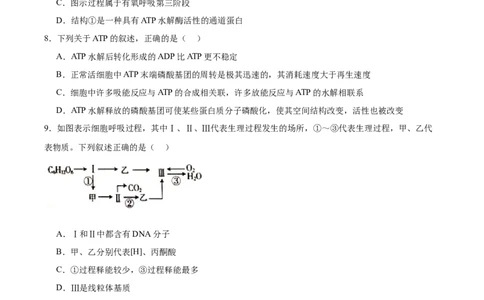 单元检测卷03细胞的能量供应和利用（原卷版）_新高考复习资料_2025年新高考资料_2025年高考生物一轮复习考点通关卷（新高考通用）