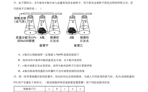 单元检测卷03细胞的能量供应和利用（原卷版）_新高考复习资料_2025年新高考资料_2025年高考生物一轮复习考点通关卷（新高考通用）