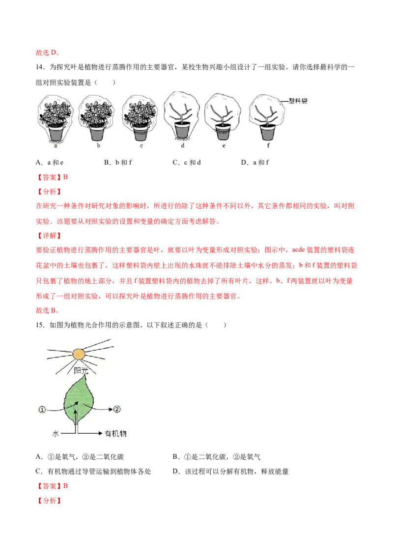 题型03（识图题）-（人教版）（解析版）_初中全科电子版试卷练习试题_生物_生物人教版7上练习&mdash;24新版已更新_人教生物7年级上专项练习28份