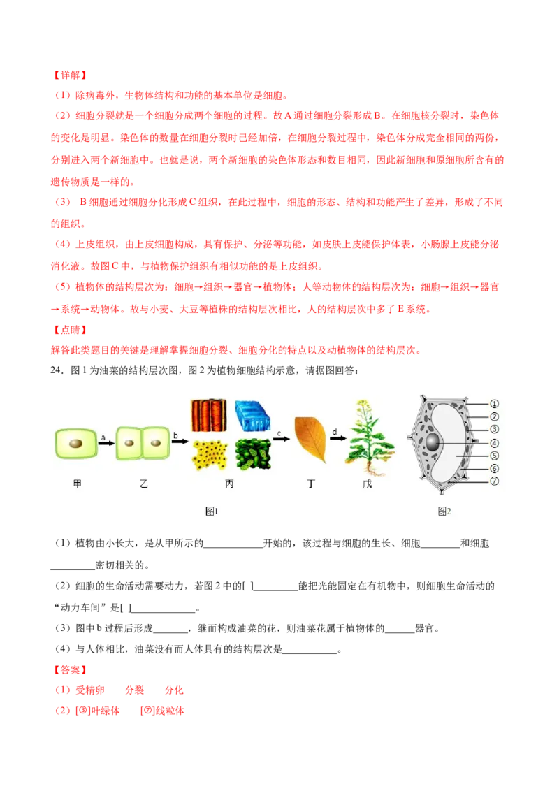 题型03（识图题）-（人教版）（解析版）_初中全科电子版试卷练习试题_生物_生物人教版7上练习&mdash;24新版已更新_人教生物7年级上专项练习28份