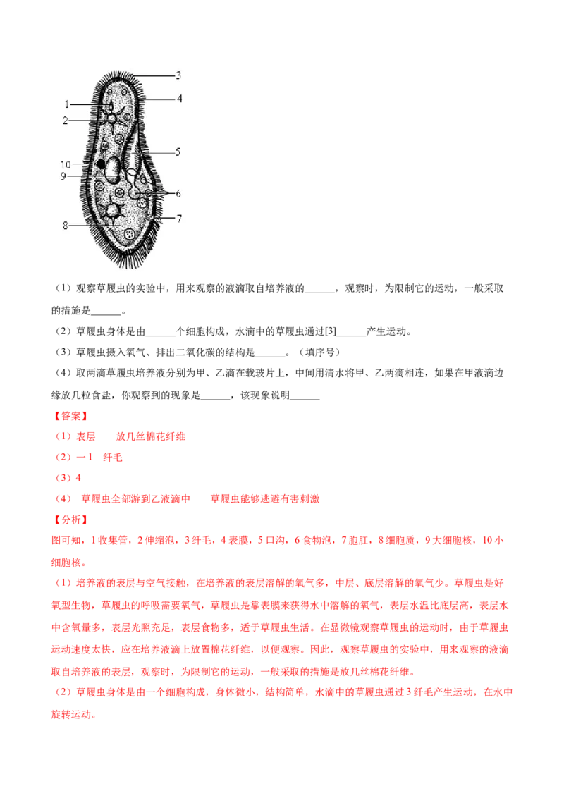 题型03（识图题）-（人教版）（解析版）_初中全科电子版试卷练习试题_生物_生物人教版7上练习&mdash;24新版已更新_人教生物7年级上专项练习28份