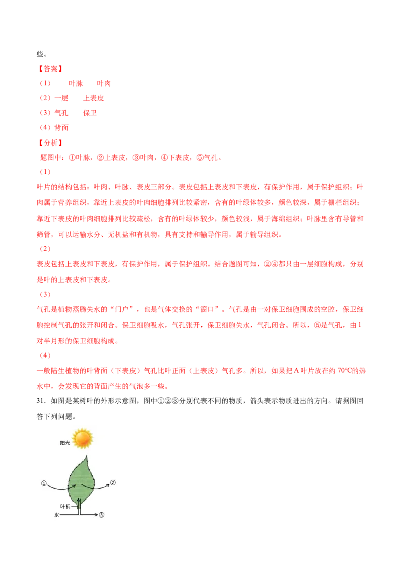 题型03（识图题）-（人教版）（解析版）_初中全科电子版试卷练习试题_生物_生物人教版7上练习&mdash;24新版已更新_人教生物7年级上专项练习28份