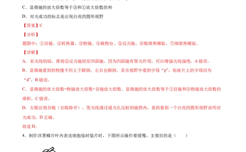 题型03（识图题）-（人教版）（解析版）_初中全科电子版试卷练习试题_生物_生物人教版7上练习&mdash;24新版已更新_人教生物7年级上专项练习28份