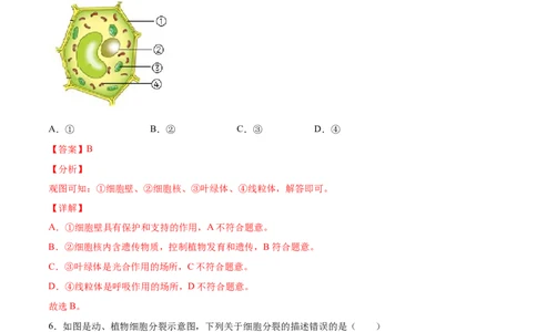 题型03（识图题）-（人教版）（解析版）_初中全科电子版试卷练习试题_生物_生物人教版7上练习&mdash;24新版已更新_人教生物7年级上专项练习28份