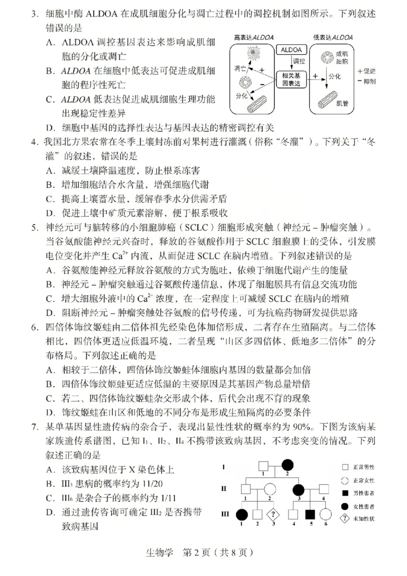 2026年山西省普通高中学业水平选择性考试调研试题生物_2024-2026高三（6-6月题库）_2026年04月高三试卷_2604142026年山西省普通高中学业水平选择性考试调研试题（全科）