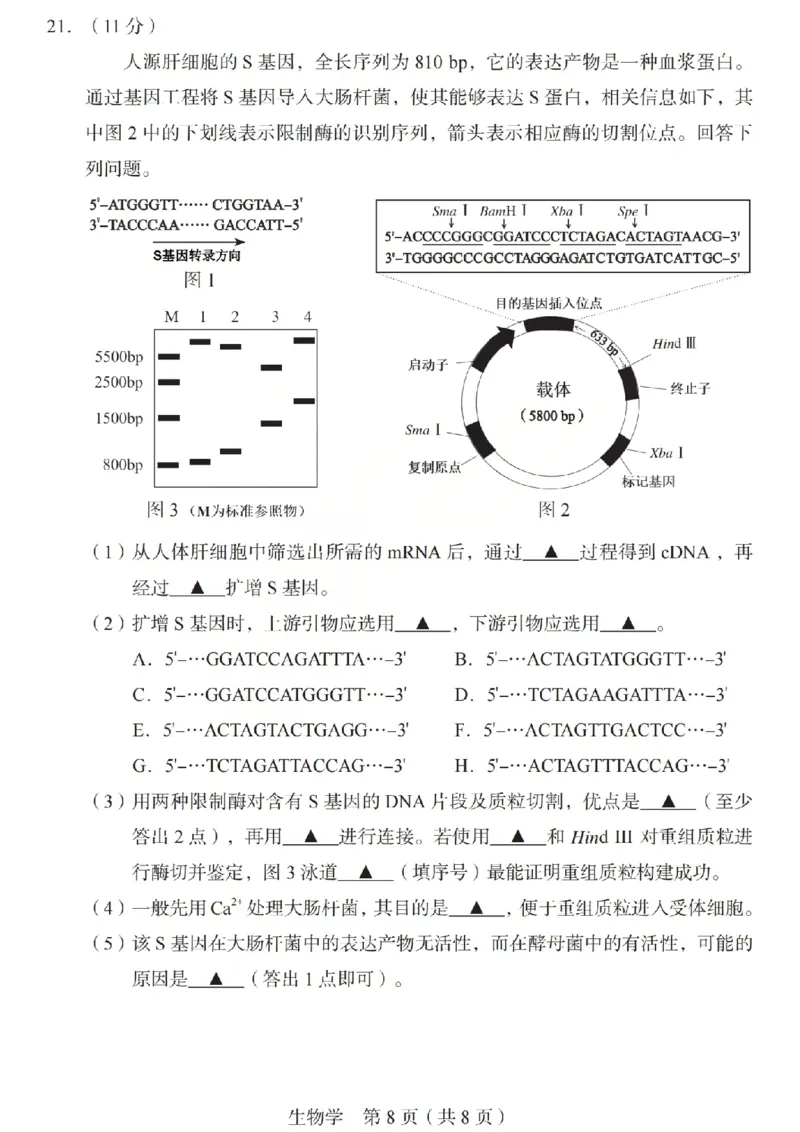 2026年山西省普通高中学业水平选择性考试调研试题生物_2024-2026高三（6-6月题库）_2026年04月高三试卷_2604142026年山西省普通高中学业水平选择性考试调研试题（全科）