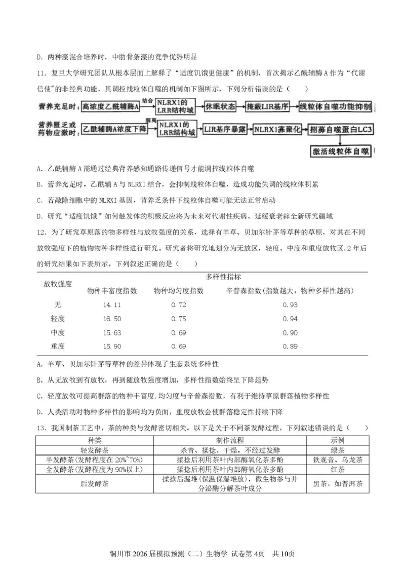 2026届陕西省铜川市高三第二次模拟考试生物试题（含答案）_2024-2026高三（6-6月题库）_2026年03月高三试卷_260318陕西铜川2026届高三模拟预测（二）（全科）