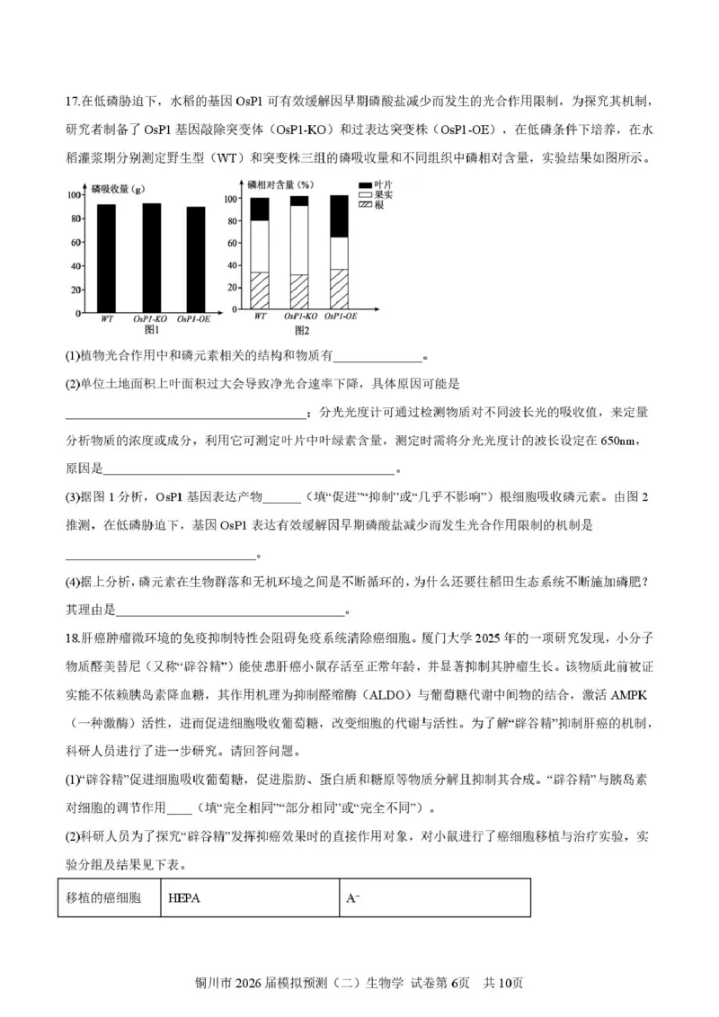 2026届陕西省铜川市高三第二次模拟考试生物试题（含答案）_2024-2026高三（6-6月题库）_2026年03月高三试卷_260318陕西铜川2026届高三模拟预测（二）（全科）