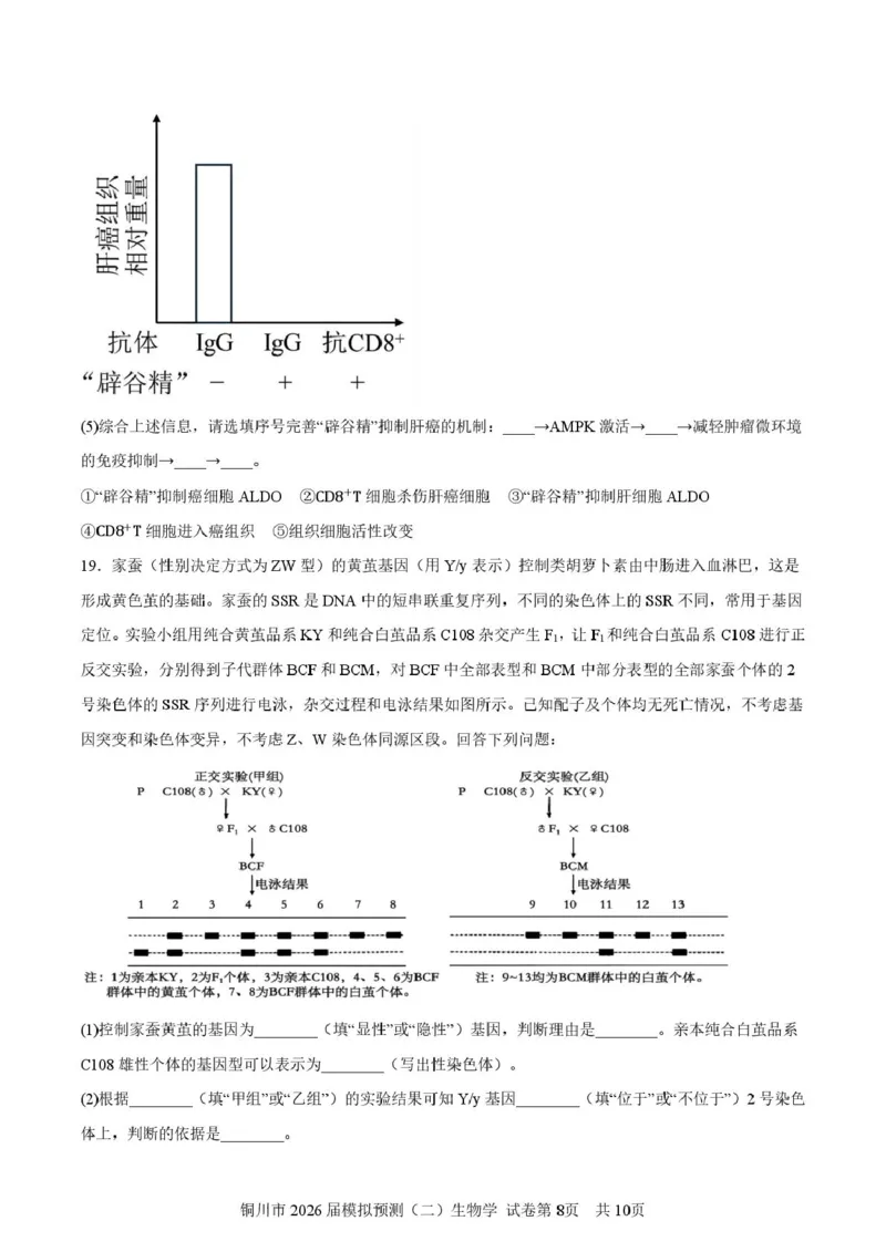 2026届陕西省铜川市高三第二次模拟考试生物试题（含答案）_2024-2026高三（6-6月题库）_2026年03月高三试卷_260318陕西铜川2026届高三模拟预测（二）（全科）