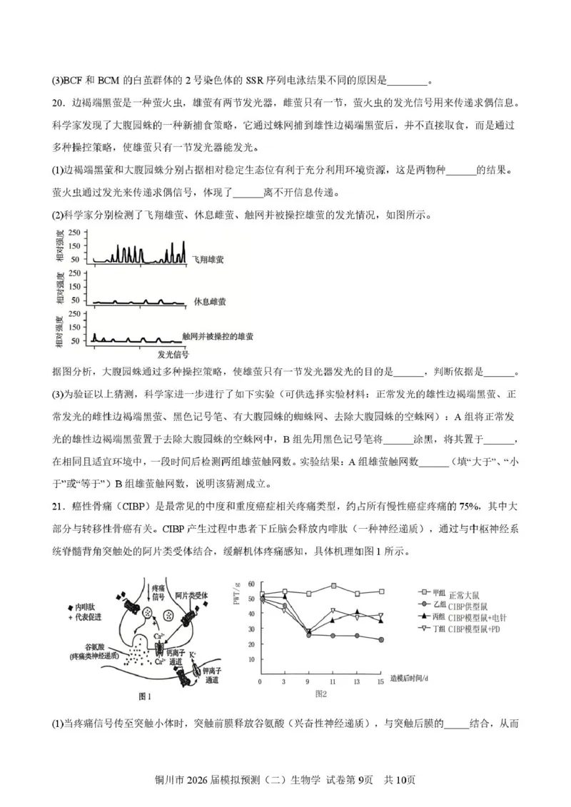2026届陕西省铜川市高三第二次模拟考试生物试题（含答案）_2024-2026高三（6-6月题库）_2026年03月高三试卷_260318陕西铜川2026届高三模拟预测（二）（全科）