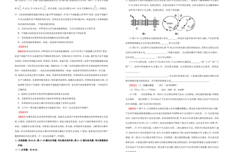 原创（新高考）2021届高考考前冲刺卷生物（一）教师版_新高考复习资料_2021年新高考资料_2021届高考考前冲刺卷（新高考）5.31更新