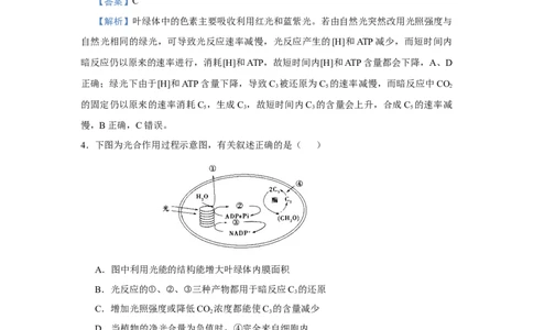 原创2021届小题必练6光合作用、光合作用与细胞呼吸的关系教师版_通用版（老高考）复习资料_2023年复习资料_专项复习_2023《微专题&middot;小练习》&middot;生物_模拟题_2021届小题优练-生物