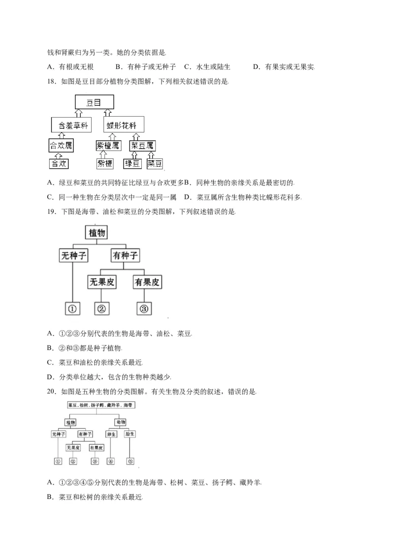 第六单元（第一章）根据生物的特征进行分类（选拔卷）-（人教版）（原卷版）_初中全科电子版试卷练习试题_生物_生物8上练习_人教生物8年级上单元试卷48份