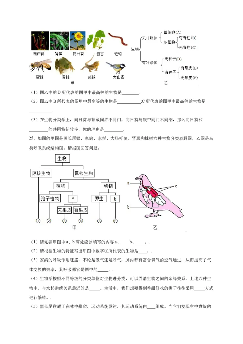 第六单元（第一章）根据生物的特征进行分类（选拔卷）-（人教版）（原卷版）_初中全科电子版试卷练习试题_生物_生物8上练习_人教生物8年级上单元试卷48份