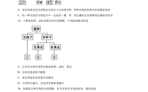 第六单元（第一章）根据生物的特征进行分类（选拔卷）-（人教版）（原卷版）_初中全科电子版试卷练习试题_生物_生物8上练习_人教生物8年级上单元试卷48份