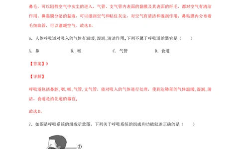 第三章人体的呼吸（能力提升）-（人教版）（解析版）_初中全科电子版试卷练习试题_生物_生物人教版7下练习_人教生物7年级下单元试卷33份