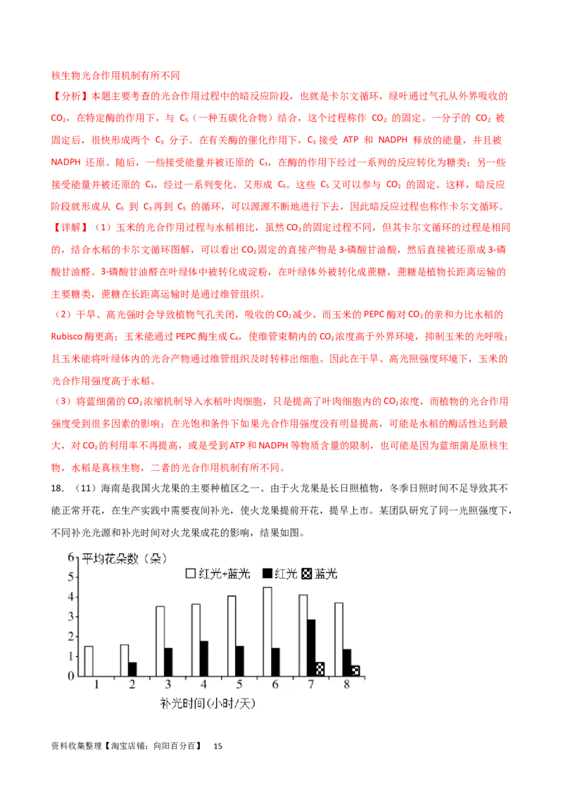 单元检测卷03细胞的能量供应和利用（解析版）_新高考复习资料_2024年新高考复习资料_一轮复习资料_完2024年高考生物一轮复习考点通关卷（新高考）