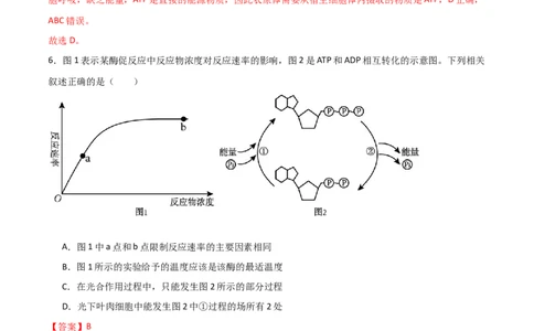 单元检测卷03细胞的能量供应和利用（解析版）_新高考复习资料_2024年新高考复习资料_一轮复习资料_完2024年高考生物一轮复习考点通关卷（新高考）
