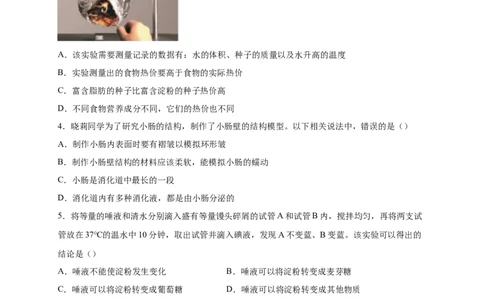 第二单元人体的营养（提分小卷）-单元测试（人教版）（原卷版）_初中全科电子版试卷练习试题_生物_生物人教版7下练习_人教生物7年级下单元试卷33份