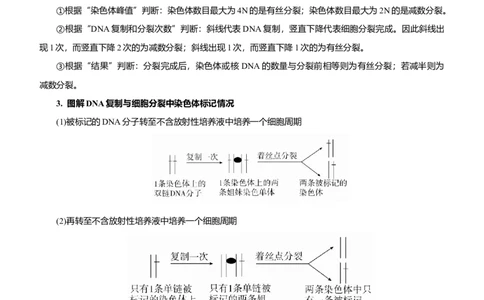 原创（新高考）2021届高考二轮精品专题四细胞的生命历程（含减数分裂）教师版_新高考复习资料_2021年新高考资料_2021届（新高考）生物二轮精品专题