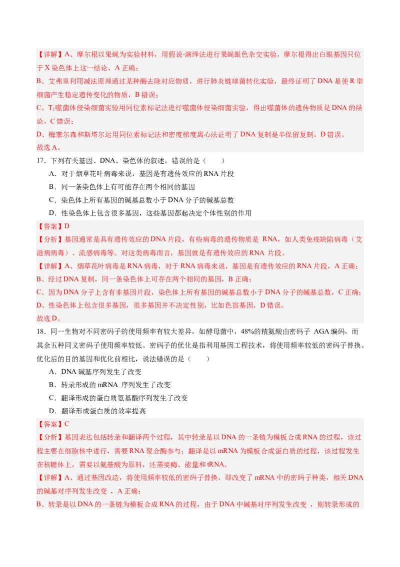 单元检测卷06遗传的物质基础（解析版）_2025年新高考资料_一轮复习_2025年高考生物一轮复习考点通关卷（新高考通用）