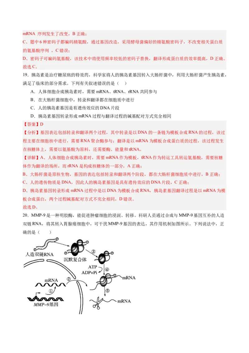单元检测卷06遗传的物质基础（解析版）_2025年新高考资料_一轮复习_2025年高考生物一轮复习考点通关卷（新高考通用）