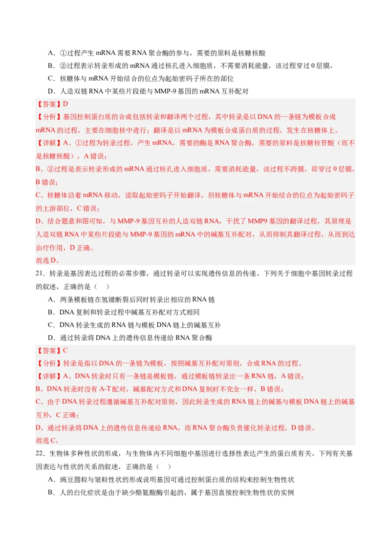 单元检测卷06遗传的物质基础（解析版）_2025年新高考资料_一轮复习_2025年高考生物一轮复习考点通关卷（新高考通用）