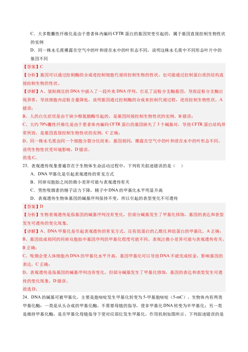 单元检测卷06遗传的物质基础（解析版）_2025年新高考资料_一轮复习_2025年高考生物一轮复习考点通关卷（新高考通用）