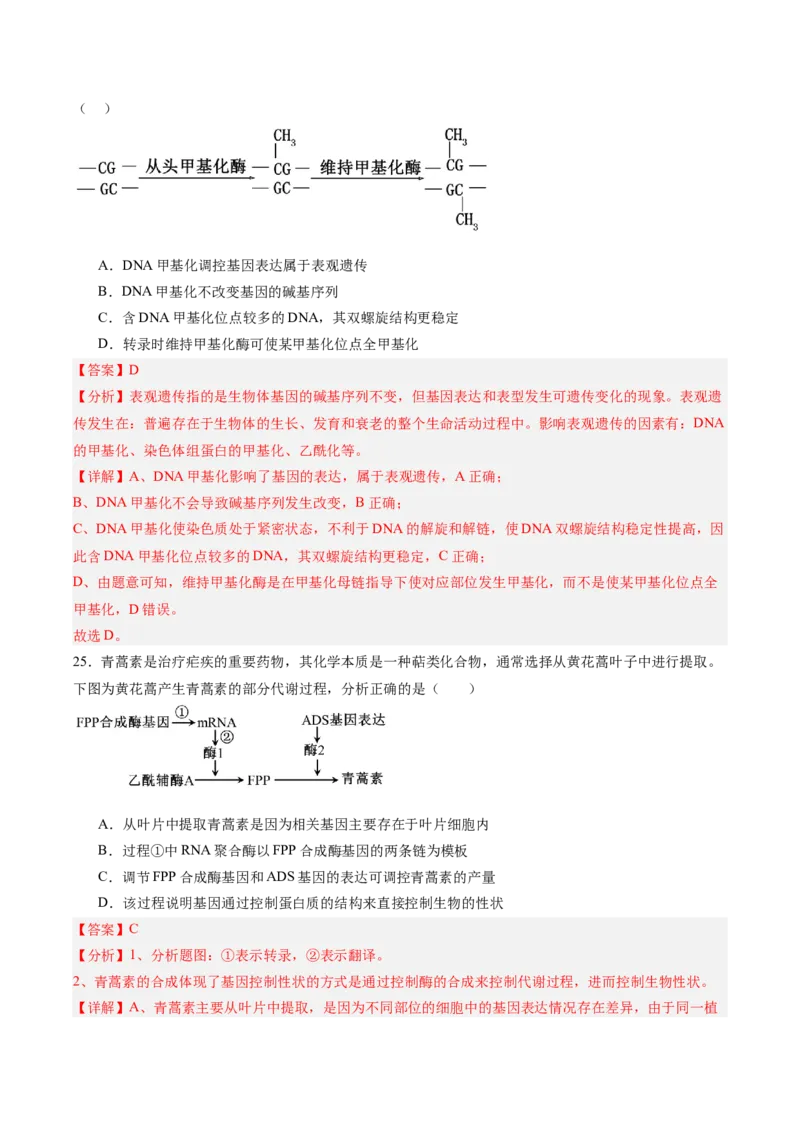单元检测卷06遗传的物质基础（解析版）_2025年新高考资料_一轮复习_2025年高考生物一轮复习考点通关卷（新高考通用）