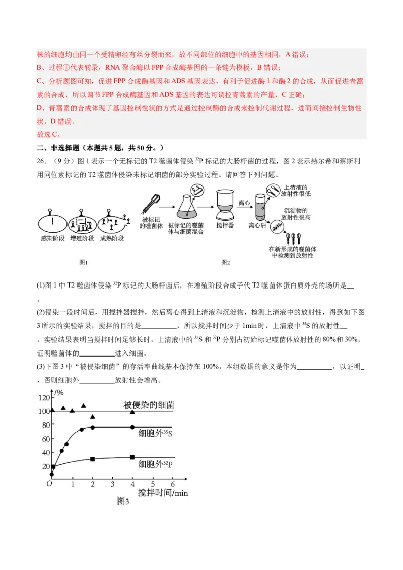 单元检测卷06遗传的物质基础（解析版）_2025年新高考资料_一轮复习_2025年高考生物一轮复习考点通关卷（新高考通用）
