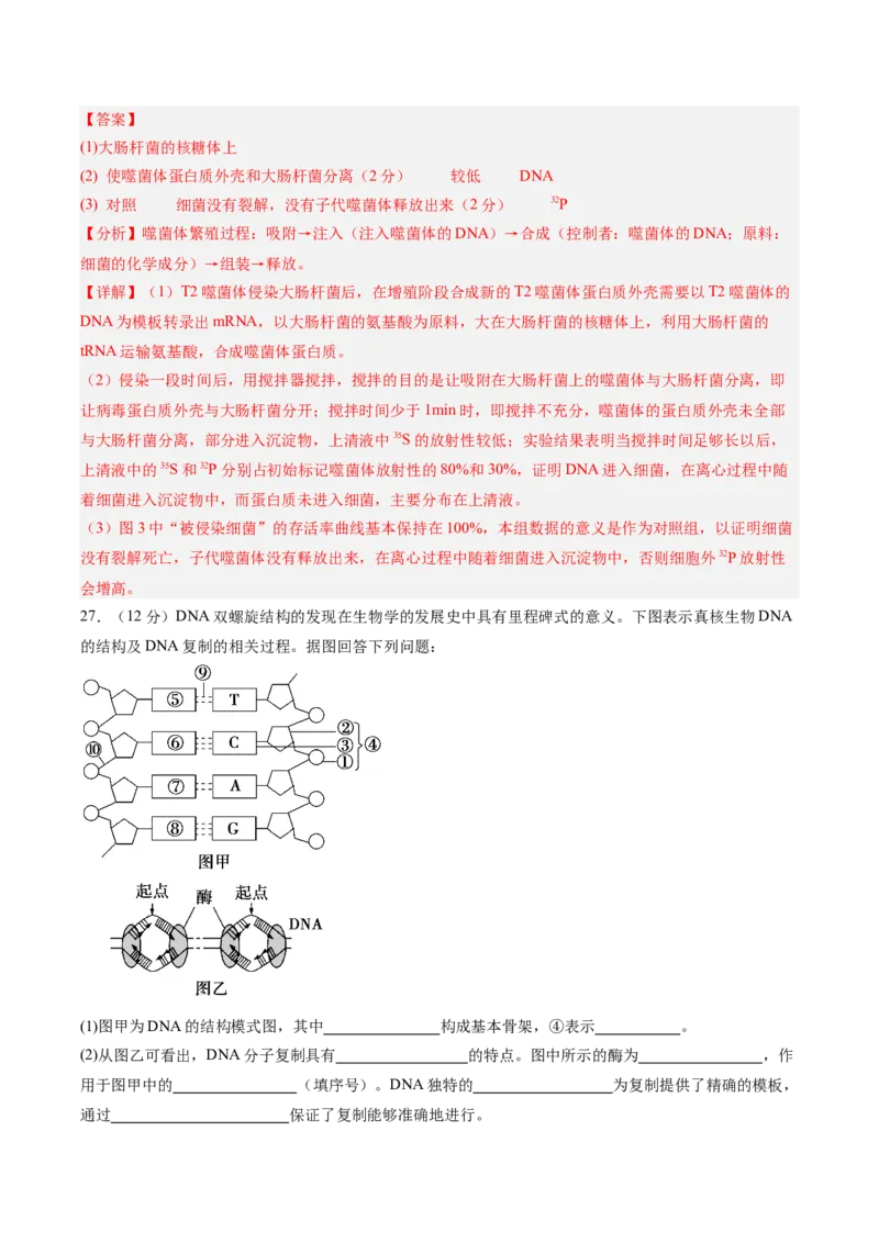单元检测卷06遗传的物质基础（解析版）_2025年新高考资料_一轮复习_2025年高考生物一轮复习考点通关卷（新高考通用）