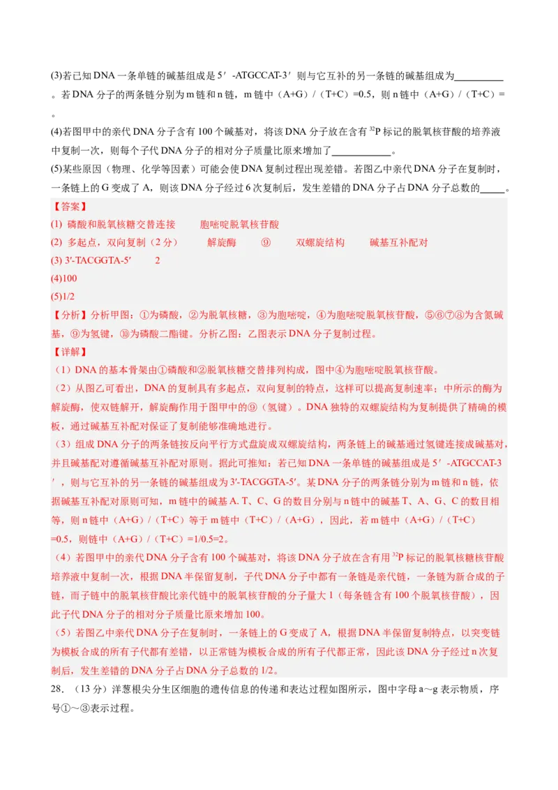 单元检测卷06遗传的物质基础（解析版）_2025年新高考资料_一轮复习_2025年高考生物一轮复习考点通关卷（新高考通用）