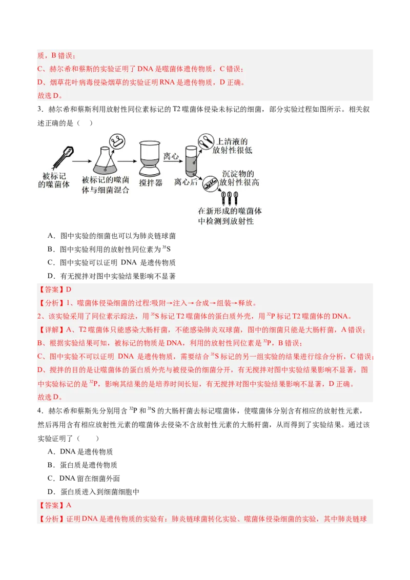 单元检测卷06遗传的物质基础（解析版）_2025年新高考资料_一轮复习_2025年高考生物一轮复习考点通关卷（新高考通用）