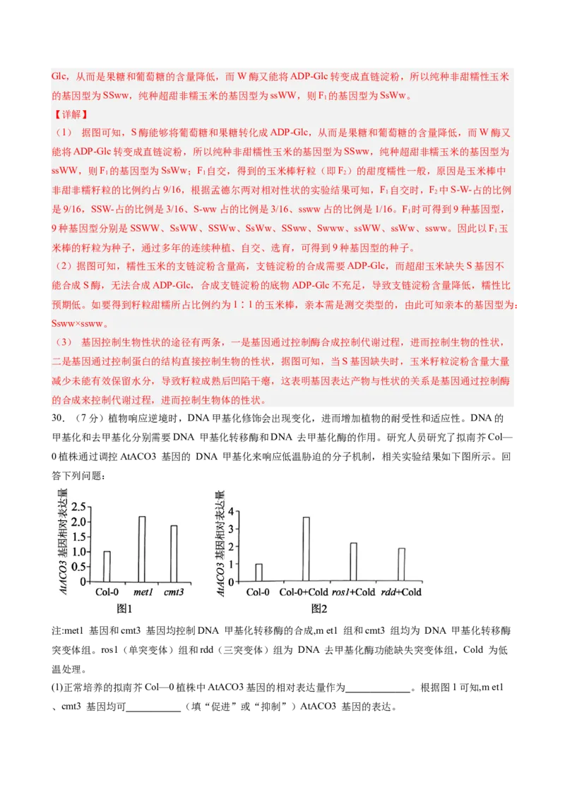 单元检测卷06遗传的物质基础（解析版）_2025年新高考资料_一轮复习_2025年高考生物一轮复习考点通关卷（新高考通用）