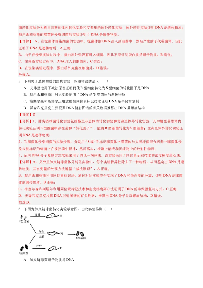 单元检测卷06遗传的物质基础（解析版）_2025年新高考资料_一轮复习_2025年高考生物一轮复习考点通关卷（新高考通用）