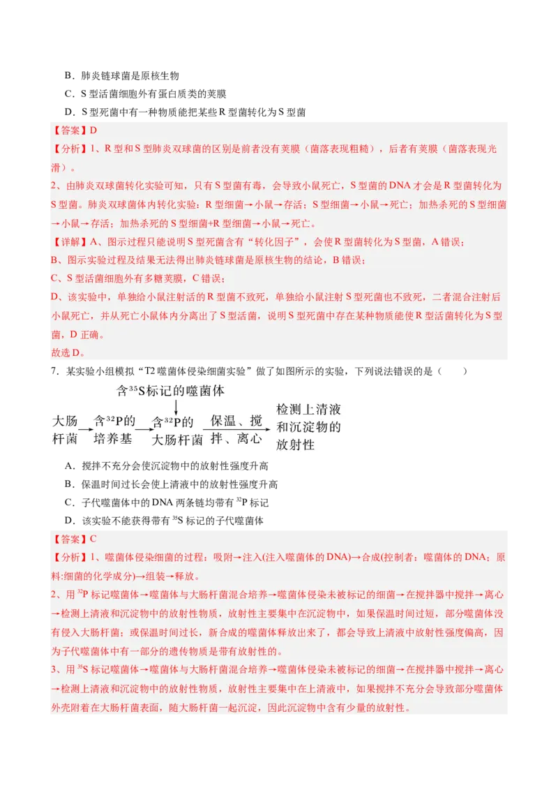 单元检测卷06遗传的物质基础（解析版）_2025年新高考资料_一轮复习_2025年高考生物一轮复习考点通关卷（新高考通用）
