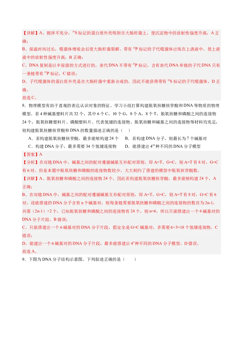 单元检测卷06遗传的物质基础（解析版）_2025年新高考资料_一轮复习_2025年高考生物一轮复习考点通关卷（新高考通用）