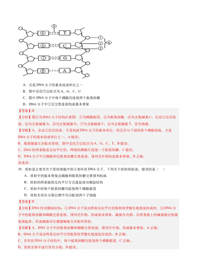 单元检测卷06遗传的物质基础（解析版）_2025年新高考资料_一轮复习_2025年高考生物一轮复习考点通关卷（新高考通用）