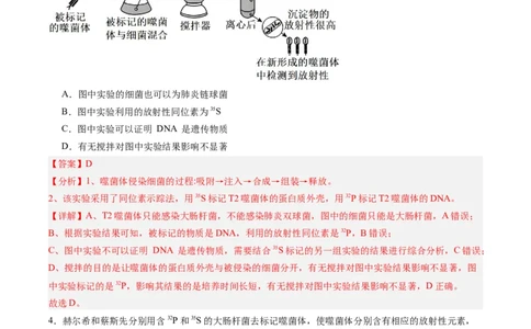 单元检测卷06遗传的物质基础（解析版）_2025年新高考资料_一轮复习_2025年高考生物一轮复习考点通关卷（新高考通用）