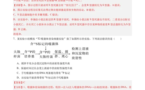 单元检测卷06遗传的物质基础（解析版）_2025年新高考资料_一轮复习_2025年高考生物一轮复习考点通关卷（新高考通用）