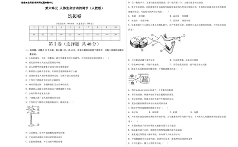 第六单元人体生命活动的调节（选拔卷）-单元测试（人教版）（考试版）_初中全科电子版试卷练习试题_生物_生物人教版7下练习_人教生物7年级下单元试卷33份