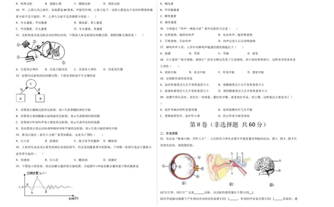 第六单元人体生命活动的调节（选拔卷）-单元测试（人教版）（考试版）_初中全科电子版试卷练习试题_生物_生物人教版7下练习_人教生物7年级下单元试卷33份