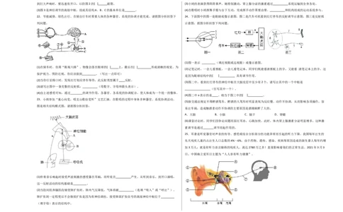 第六单元人体生命活动的调节（选拔卷）-单元测试（人教版）（考试版）_初中全科电子版试卷练习试题_生物_生物人教版7下练习_人教生物7年级下单元试卷33份