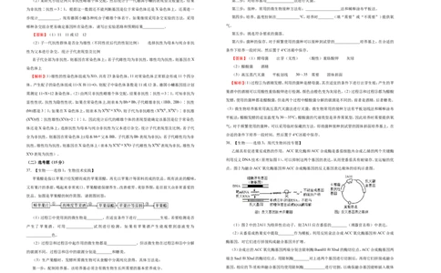 原创最后十套2021年高考名校考前提分仿真卷生物（六）教师版_通用版（老高考）复习资料_2023年复习资料_专项复习_2023《微专题&middot;小练习》&middot;生物_模拟题