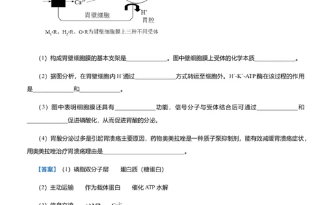 原创（新高考）2021届高三大题优练1细胞的分子基础与结构基础、物质运输综合学生版_新高考复习资料_2021年新高考资料_2021届（新高考）大题优练-生物