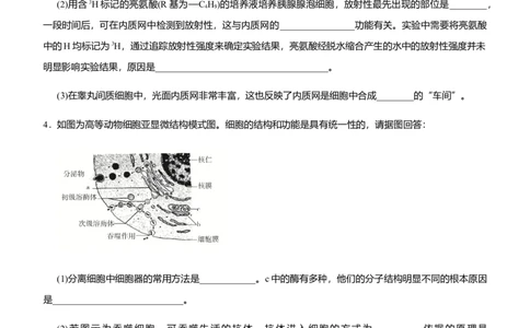 原创（新高考）2021届高三大题优练1细胞的分子基础与结构基础、物质运输综合学生版_新高考复习资料_2021年新高考资料_2021届（新高考）大题优练-生物