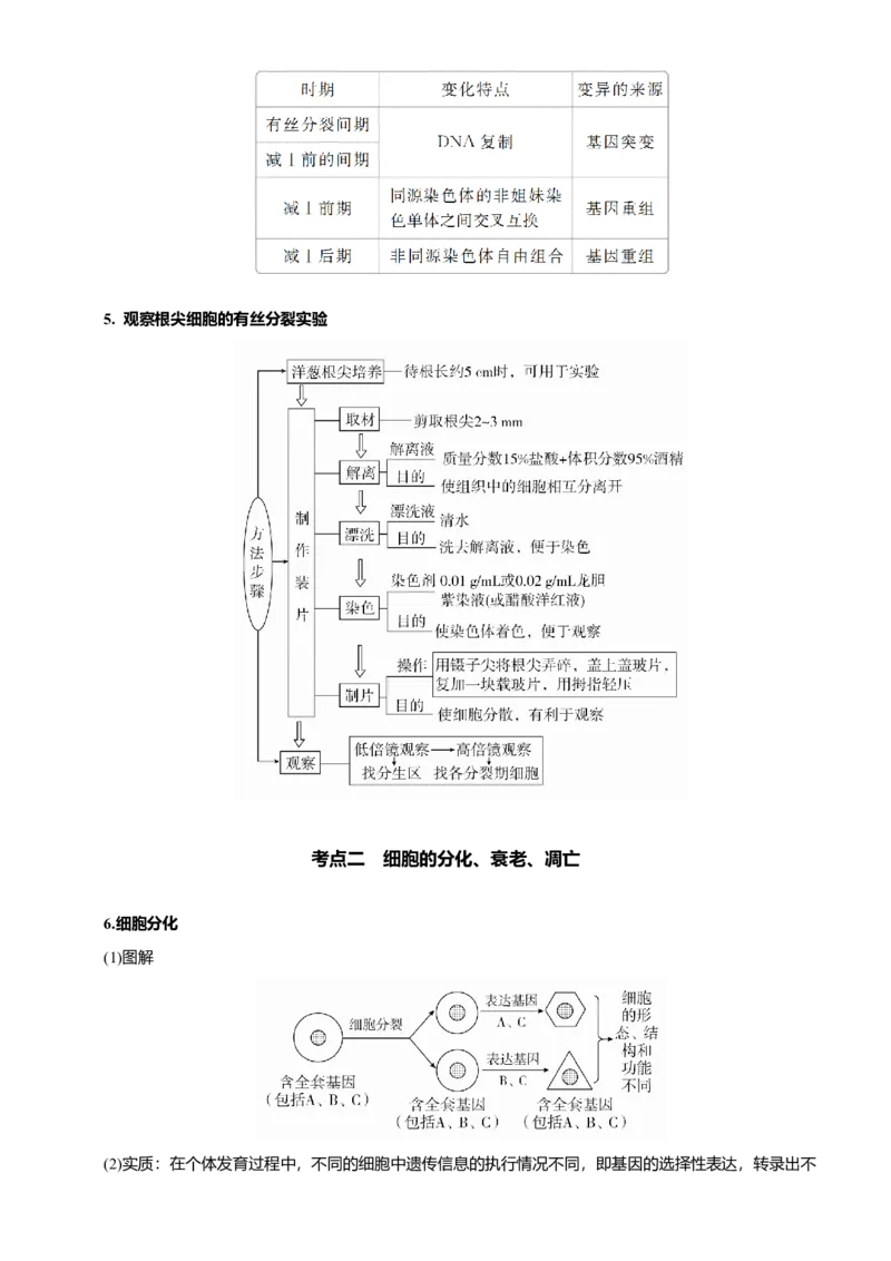 原创（新高考）2021届高考二轮精品专题四细胞的生命历程（含减数分裂）学生版_新高考复习资料_2021年新高考资料_2021届（新高考）生物二轮精品专题