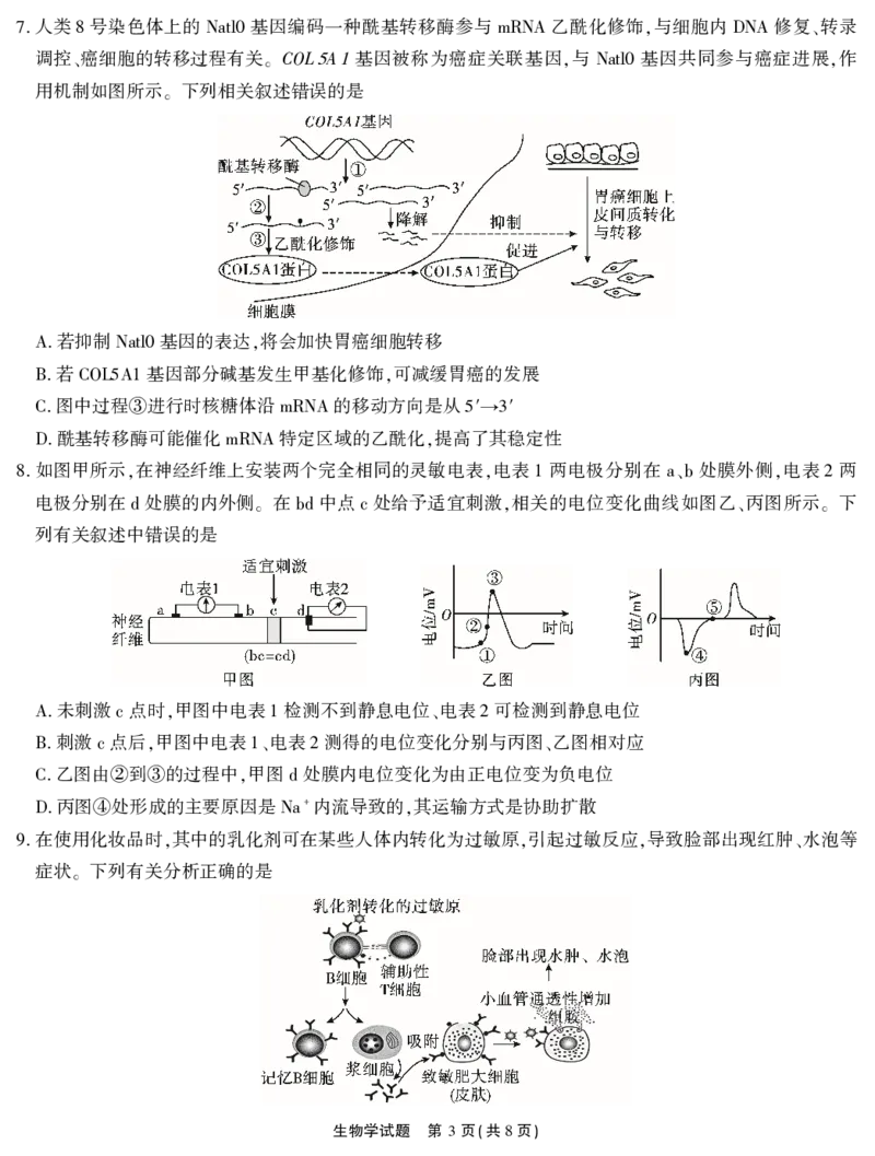 2026届高三4月模拟考试生物_2024-2026高三（6-6月题库）_2026年04月高三试卷_260419安徽省江淮十校2026届高三下学期4月模拟考试（安庆市高三三模）（全科）